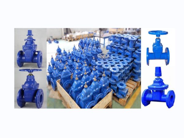 Resilient Seated Gate Valve DIN3352F4/F5