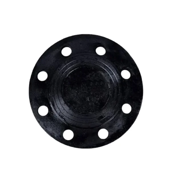 Ductile Iron Blind Flange - Imagem 6
